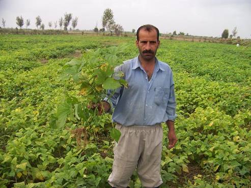 نوآوری در تولید محصولات