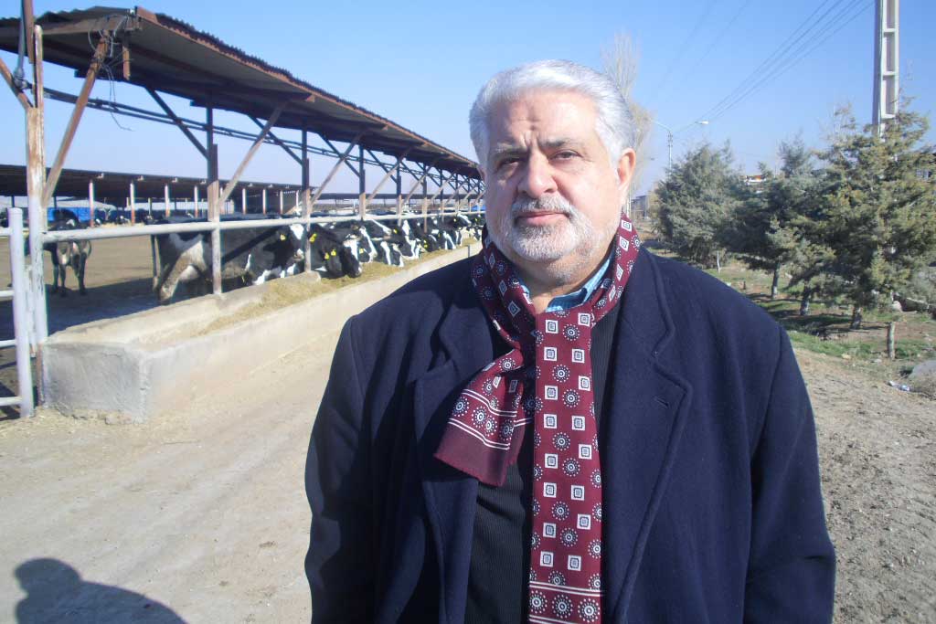 تجربه دامداری موفق