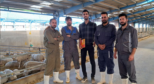 از مزرعه تا بازار