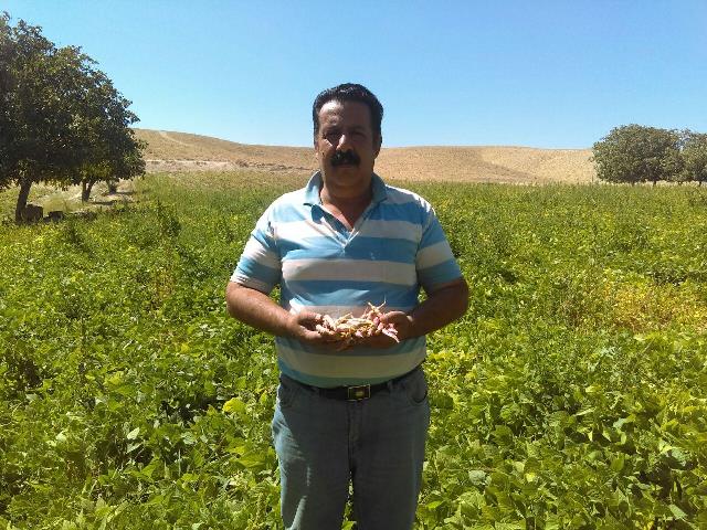 راز موفقیت در کشت پایدار